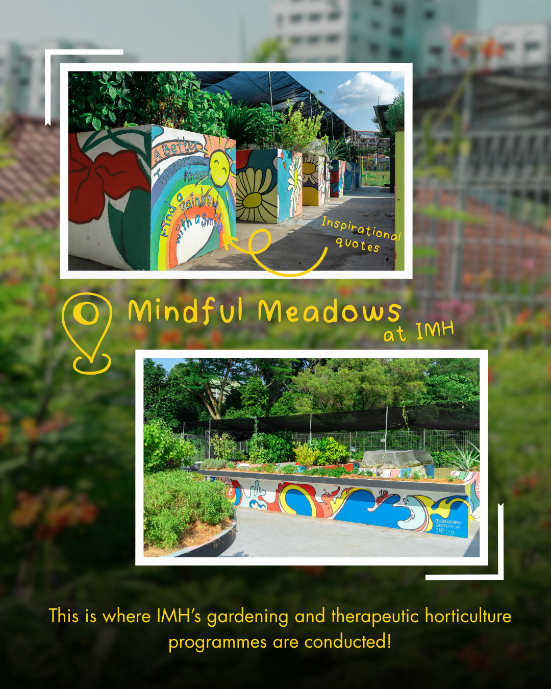 Therapeutic horticulture sessions and nature immersion activities