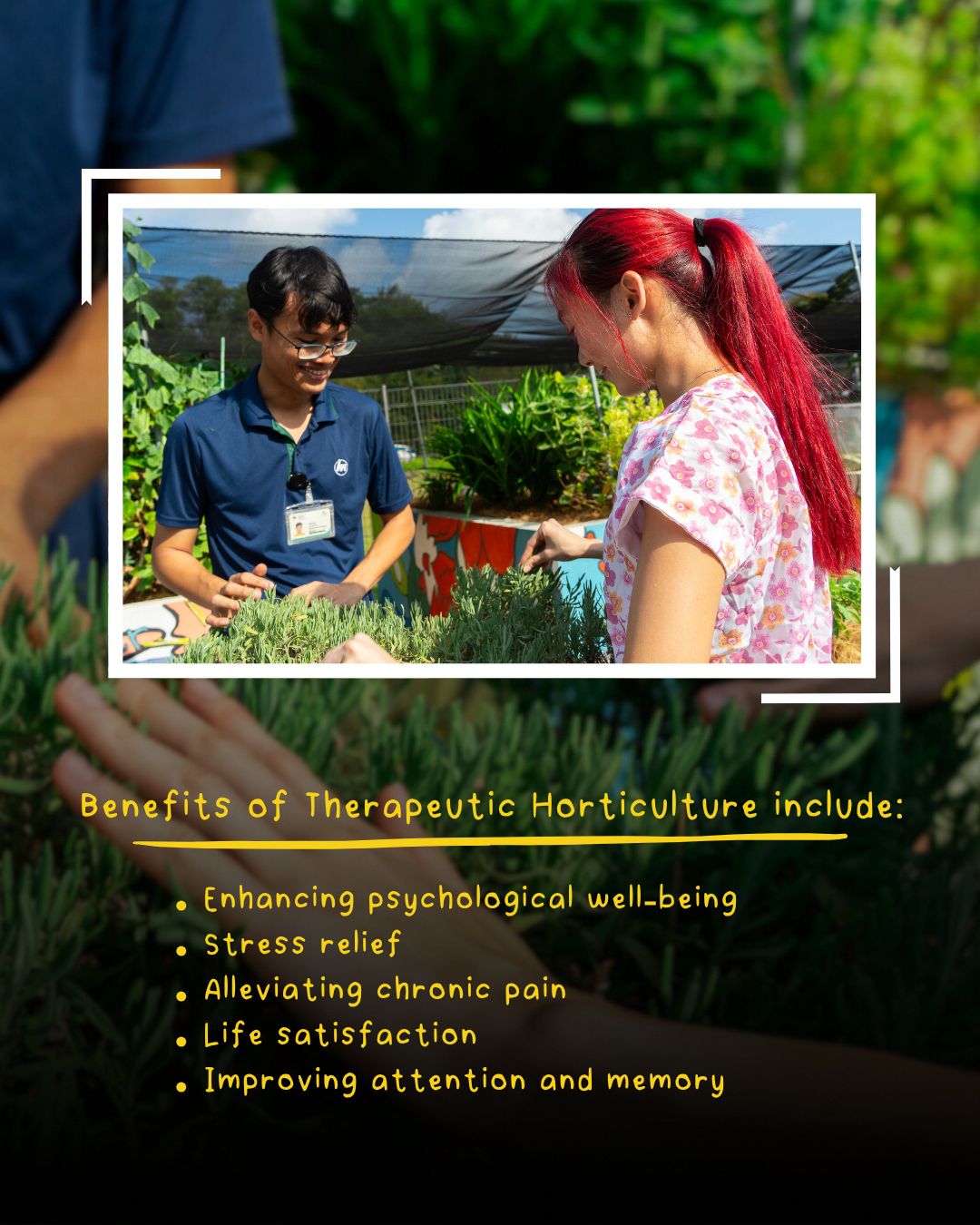 Therapeutic horticulture programmes at Institute of Mental Health