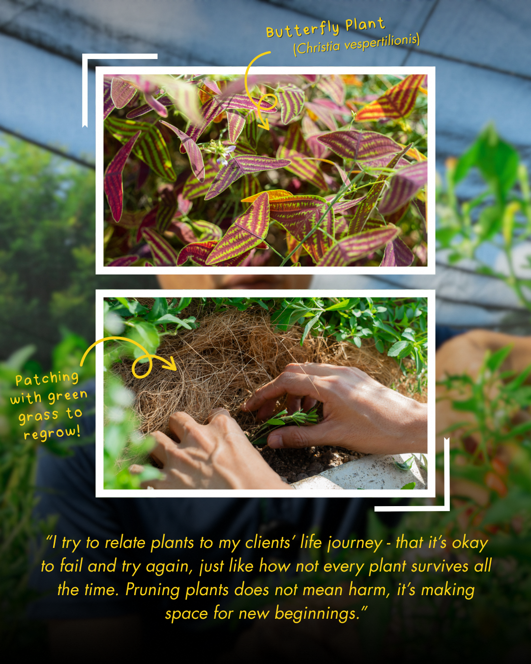 Gardening programmes fostering social bonds and community connections