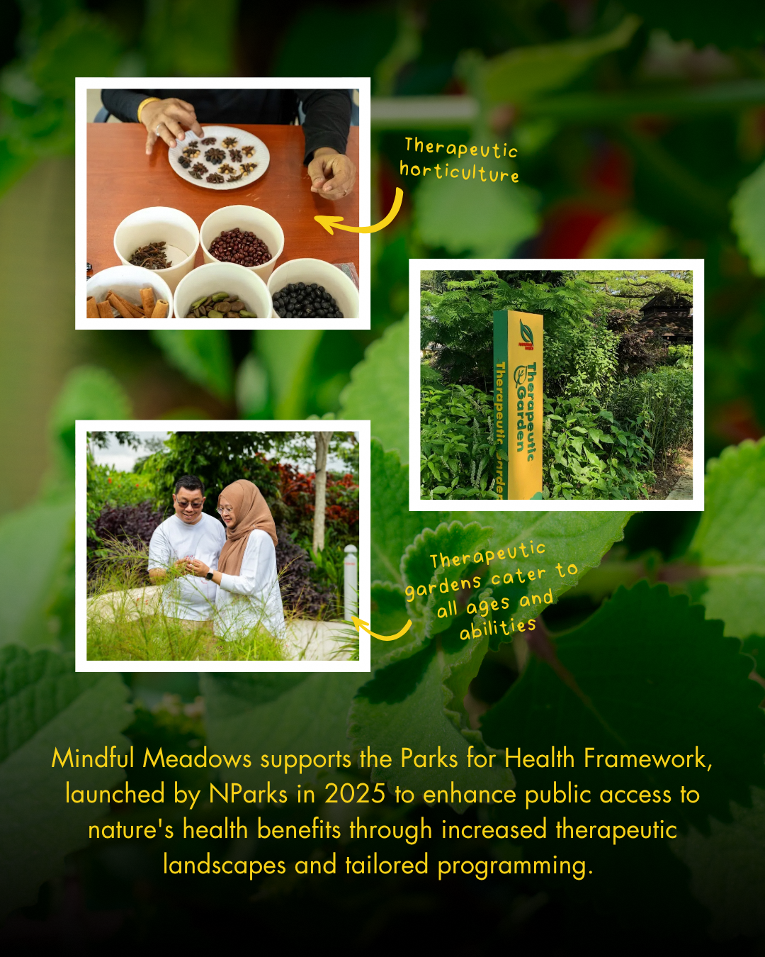 Therapeutic horticulture sessions promoting well-being and social connection