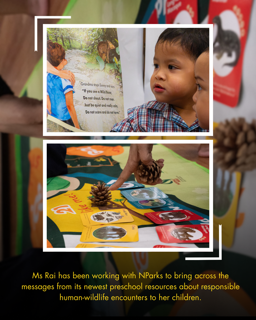 Preschool learning resources for urban wildlife education
