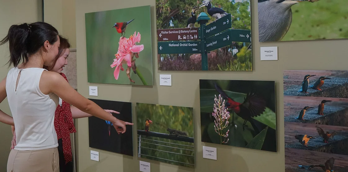 Bird photography exhibition at Singapore Botanic Gardens