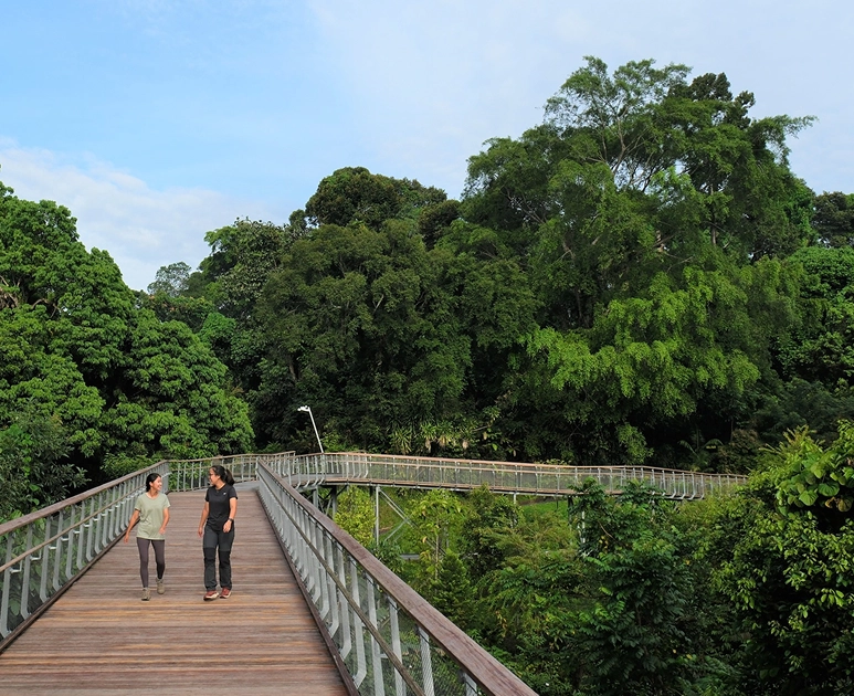 Our Innovation, for Nature