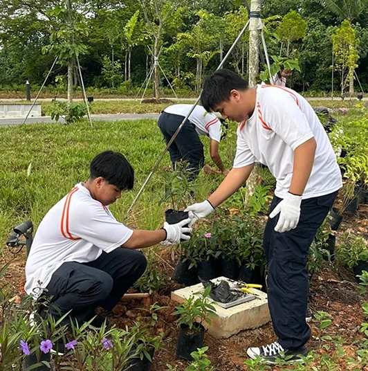 Youths planting in outdoor green space