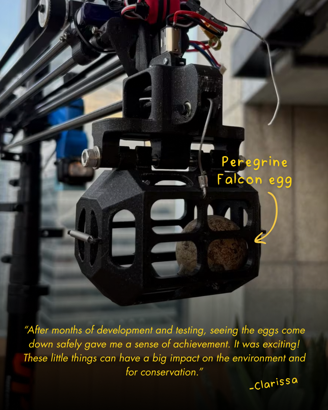 Technology-enhanced urban spaces supporting wildlife