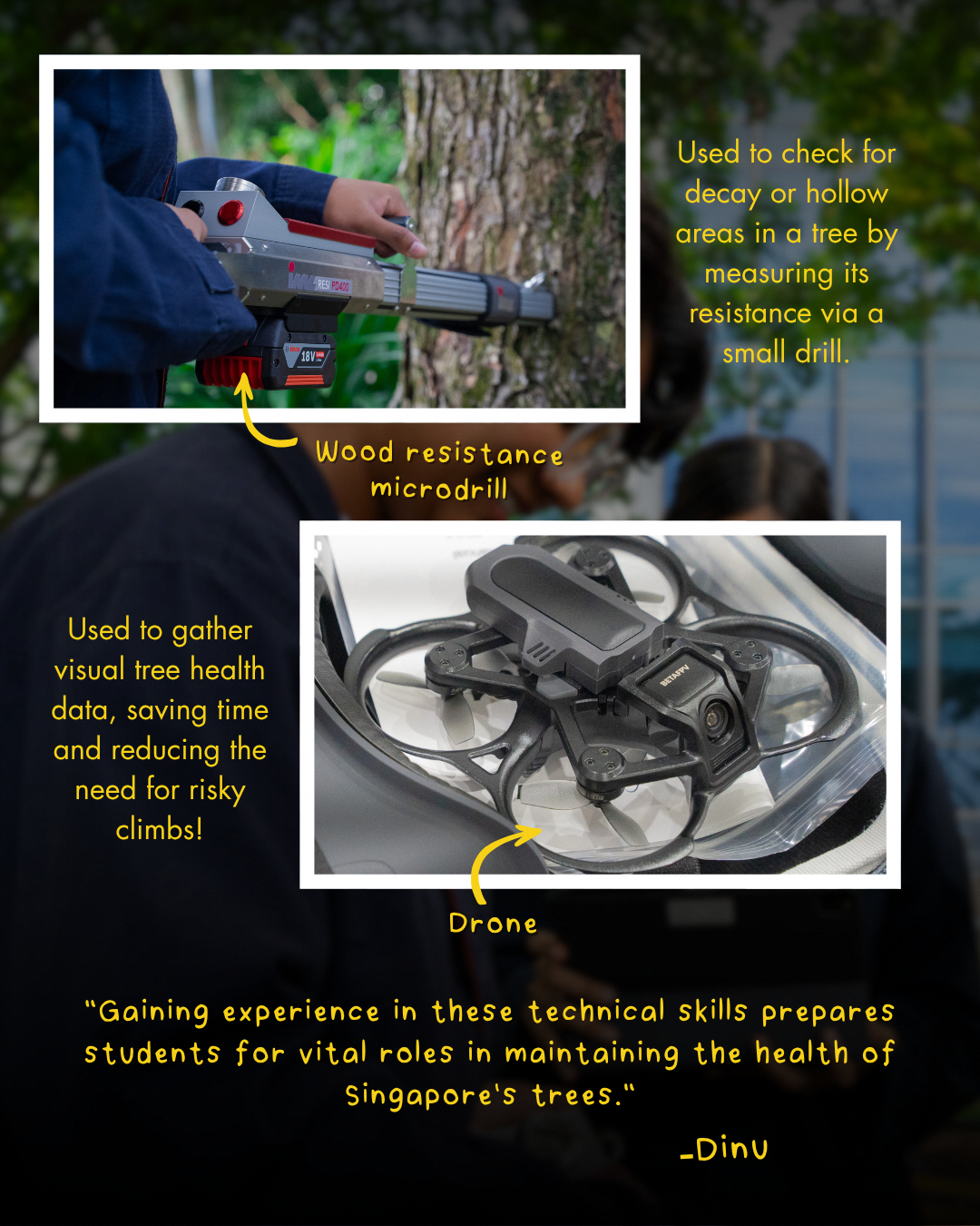 NParks and ITE partnership in landscape industry education