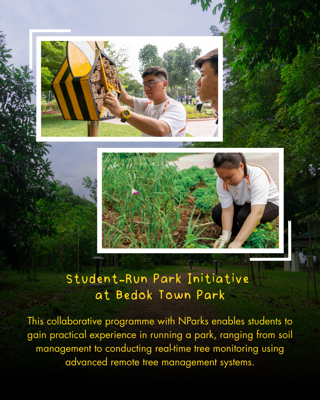Biodiversity and wildlife management training for students