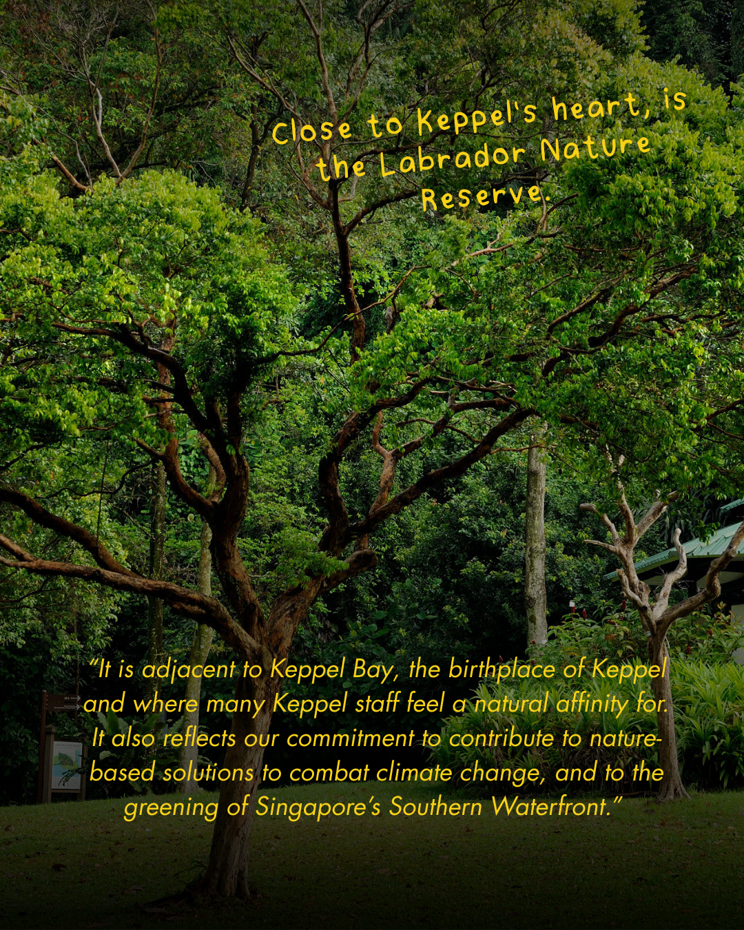 Keppel Care Foundation sustainability initiatives and green projects