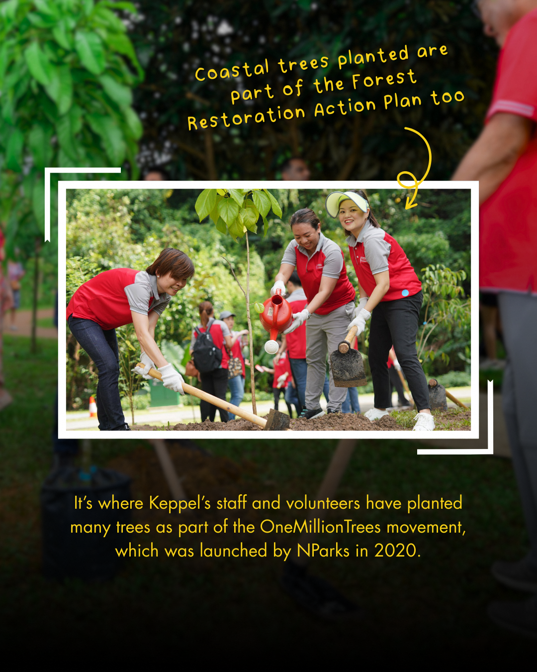 Keppel Bay area nature-based recreation and community green spaces