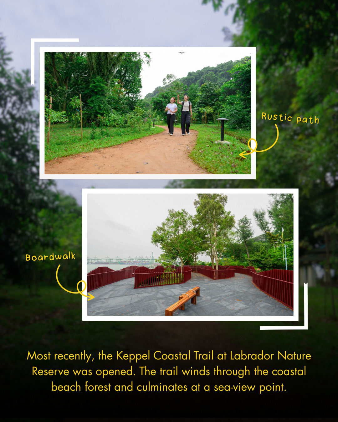 Keppel Care Foundation environmental conservation efforts