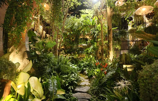 Singapore Garden Festival display