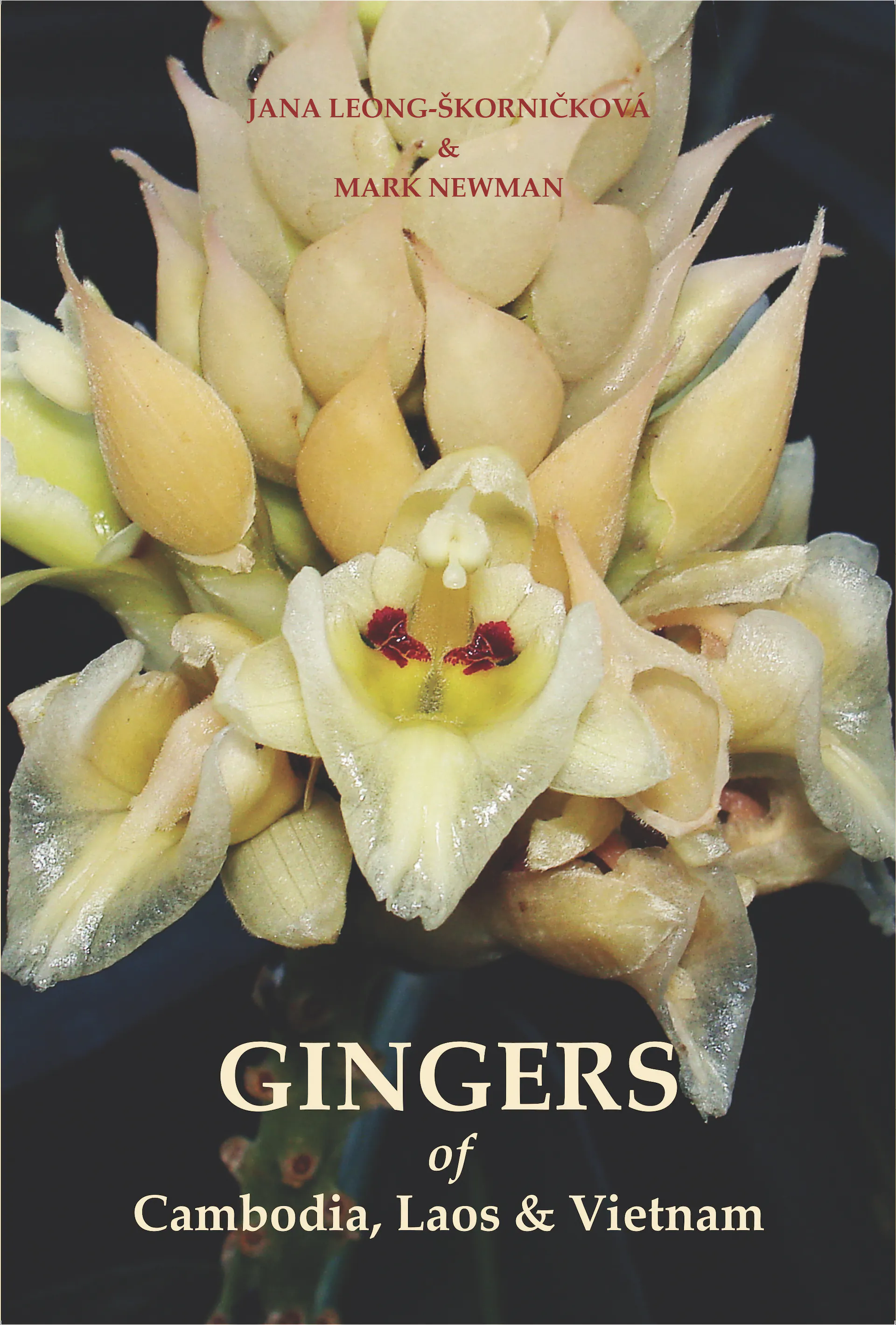 Gingers of Cambodia, Laos & Vietnam