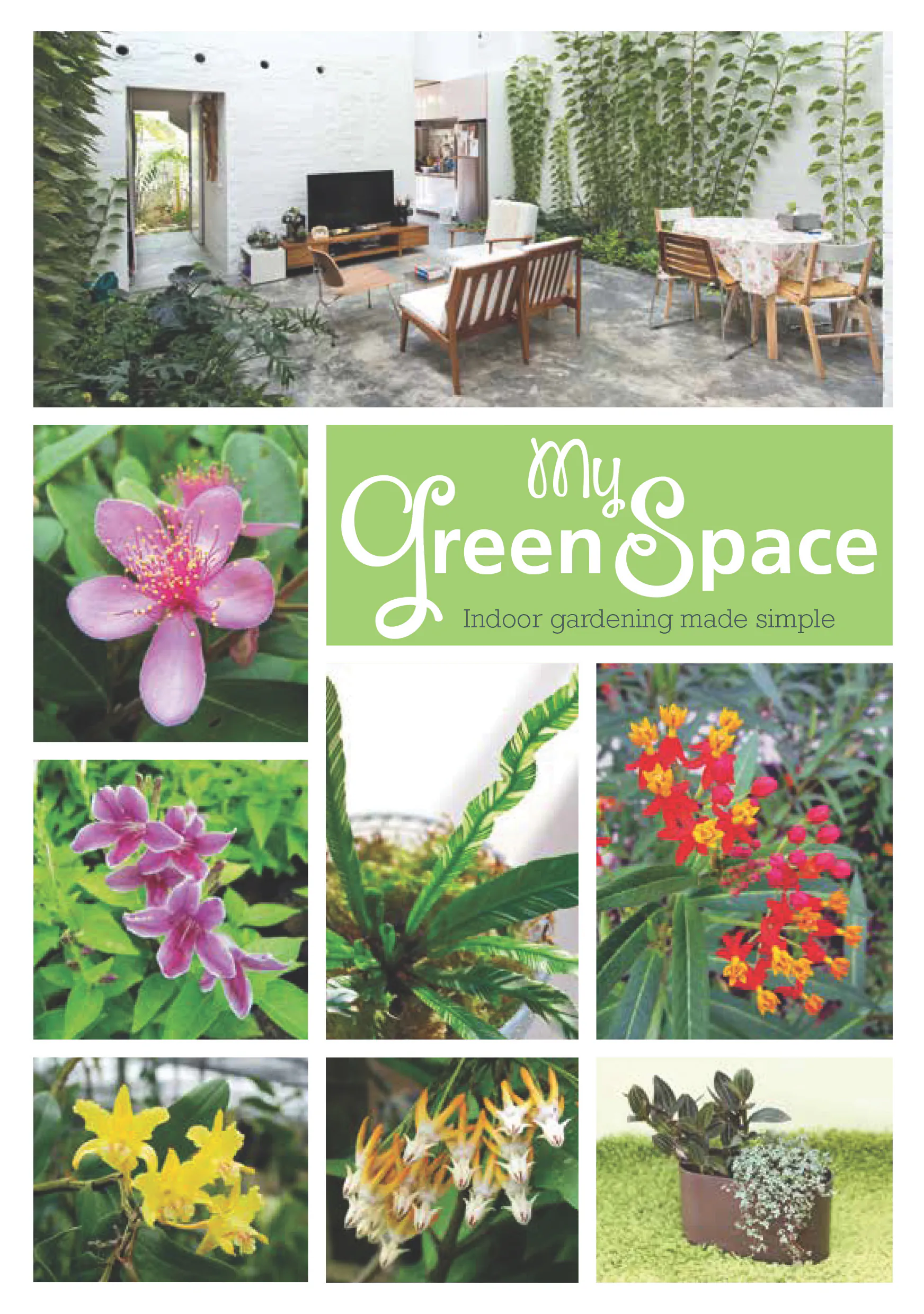 My Green Space: Indoor Gardening Made Simple