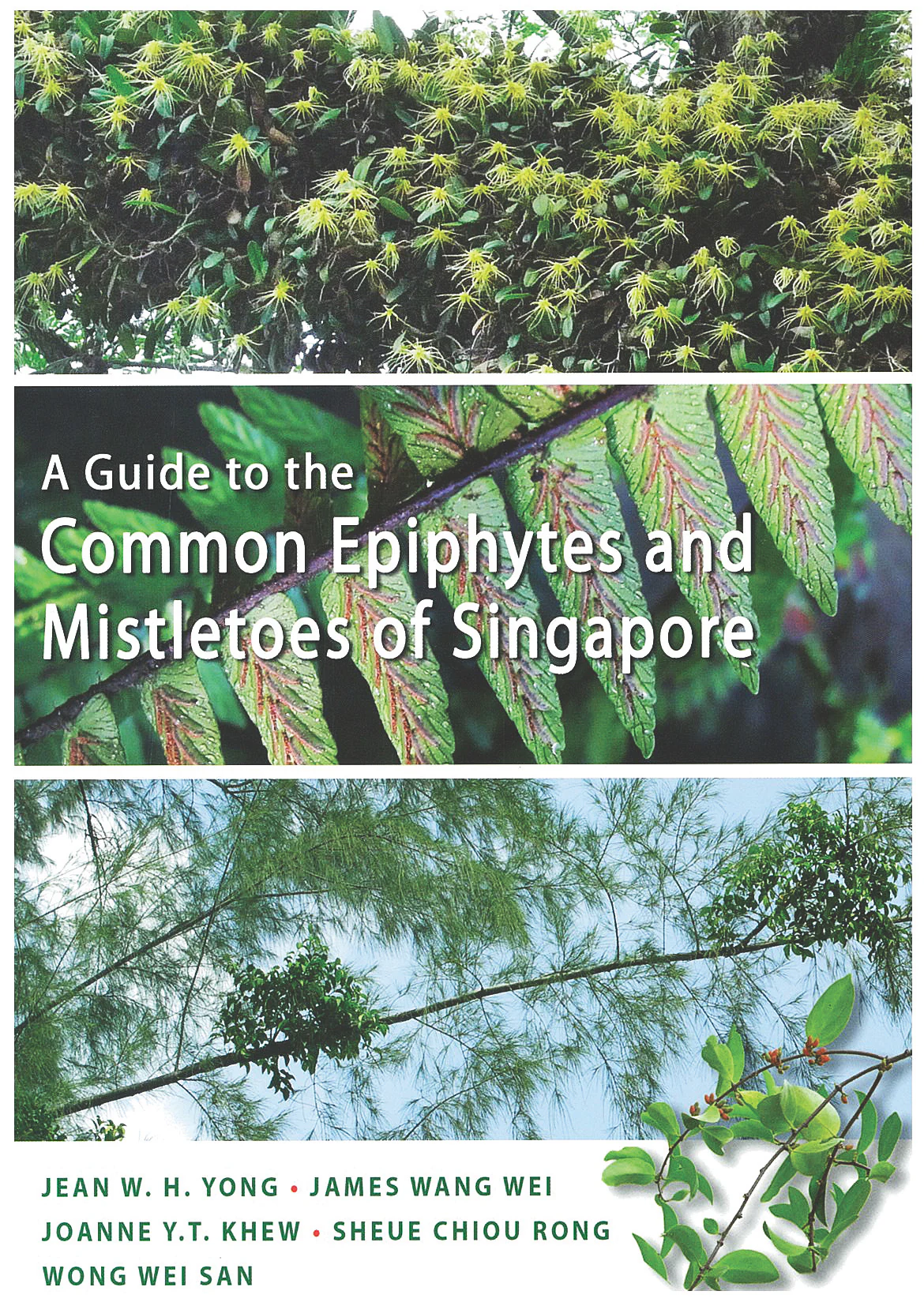 A Guide to the Common Epiphytes and Mistletoes of Singapore