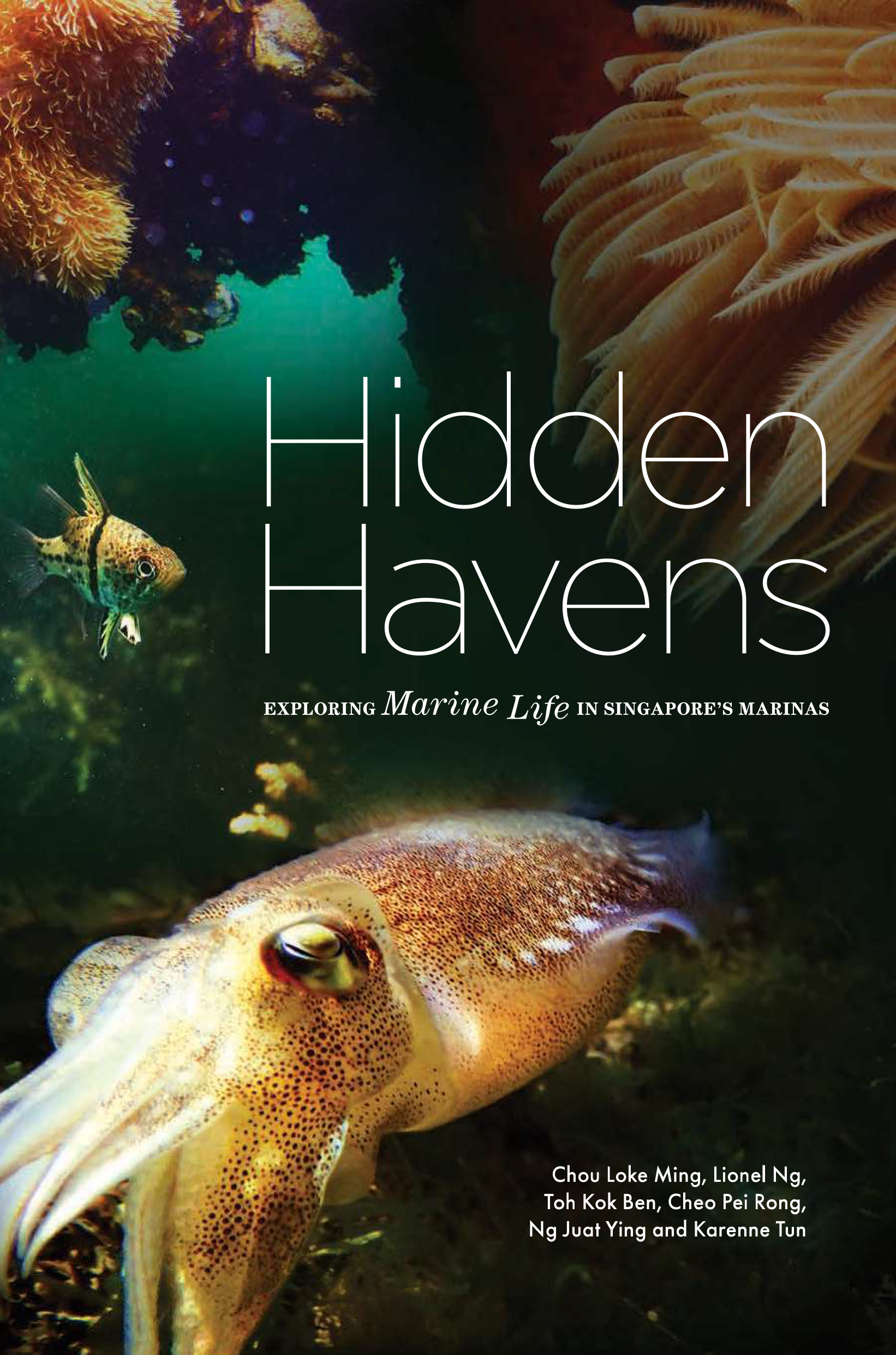 Hidden Havens