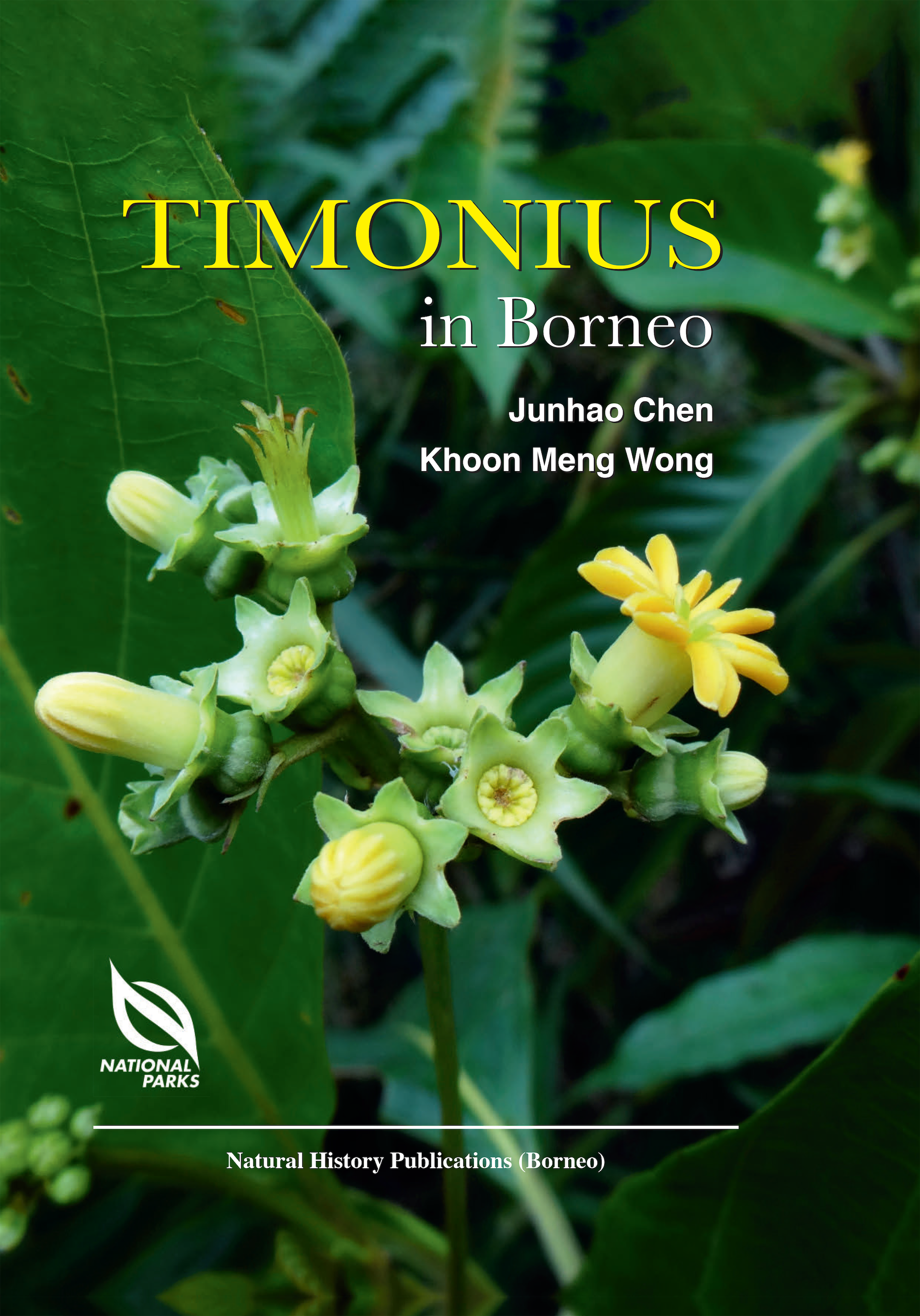 Timonius in Borneo