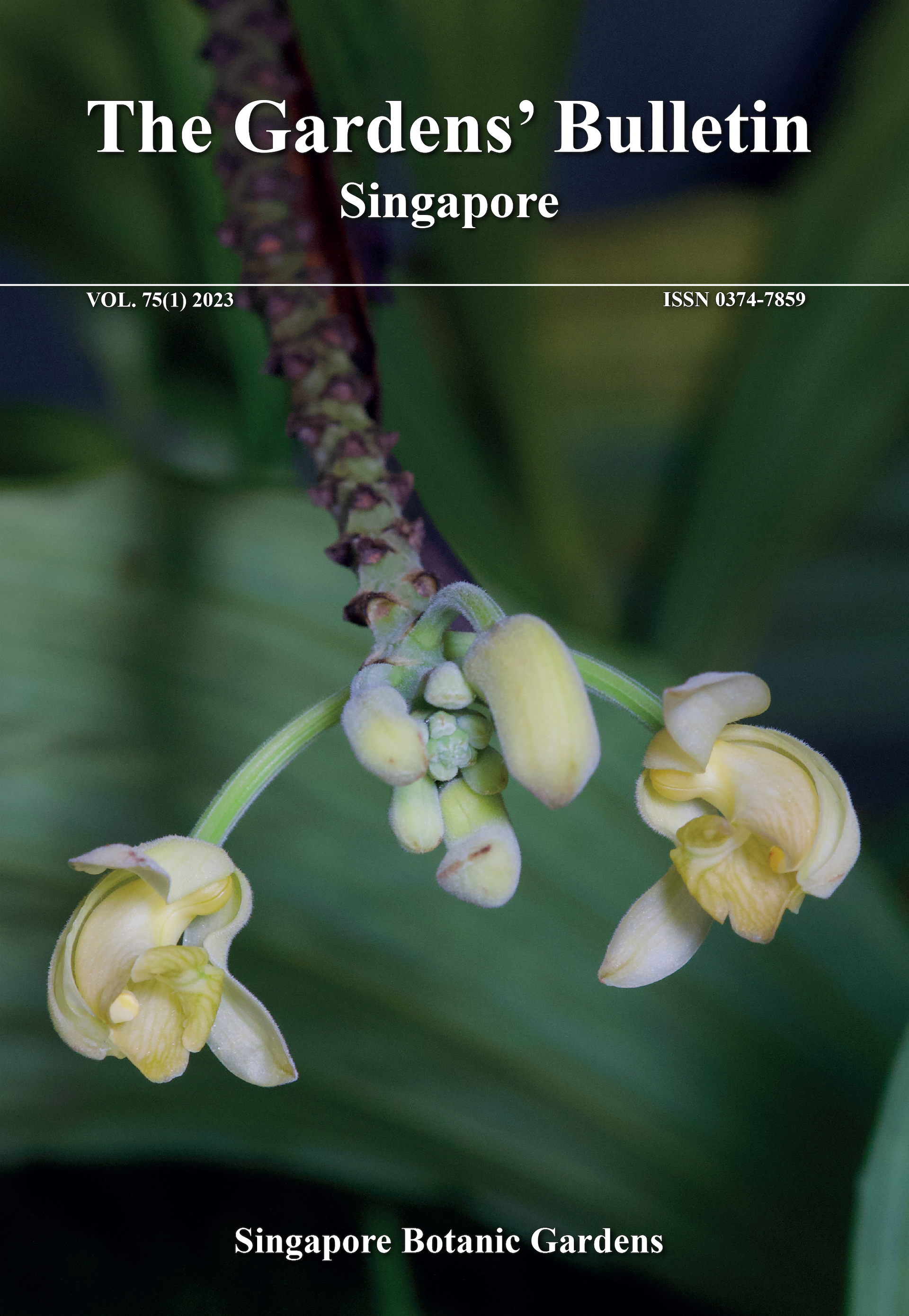 The Gardens' Bulletin, Jun 2024