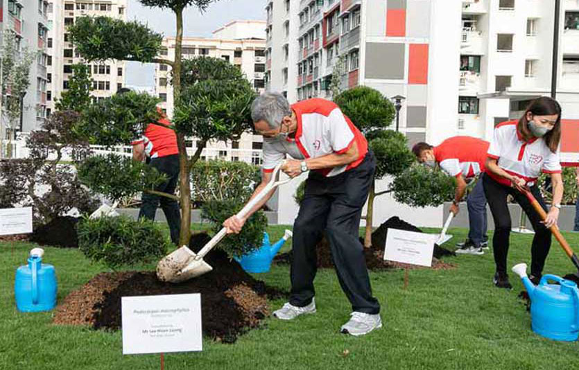Prime Minister Lee Hsien Loong participating in a tree planting activity