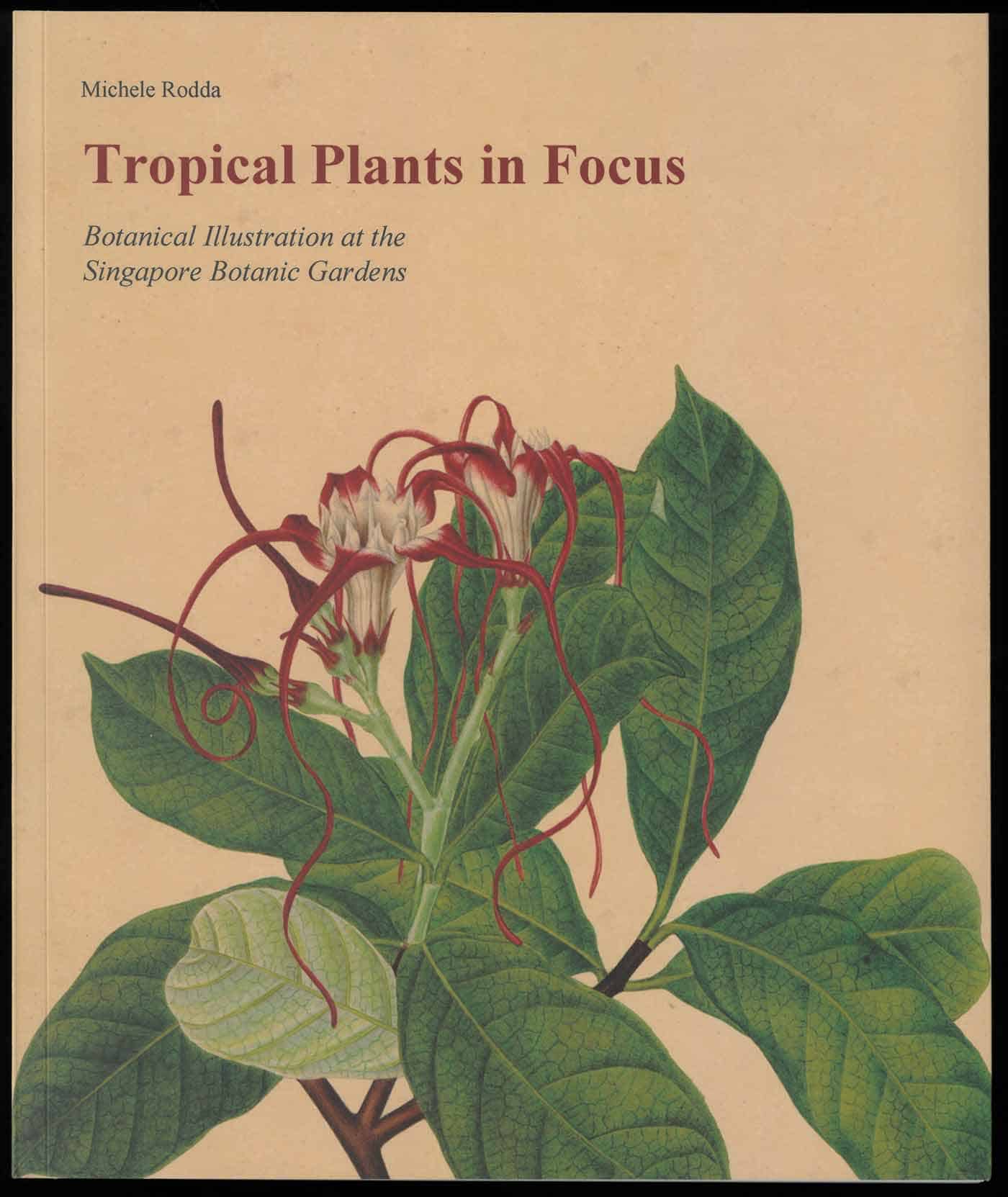 Tropical Plants in Focus – Botanical Illustration at the Singapore Botanic Gardens