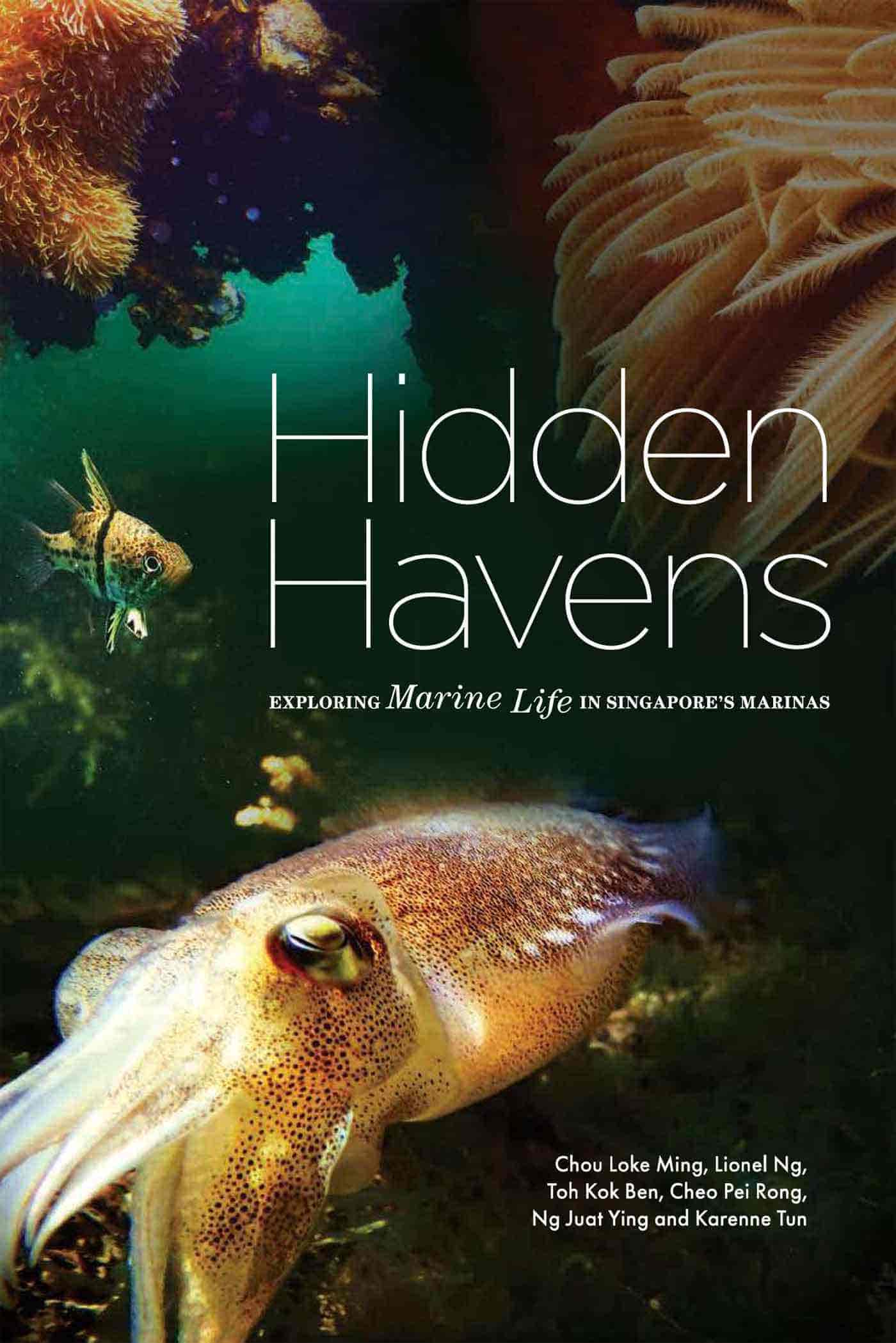 Hidden Havens – Exploring Marine Life in Singapore’s Marinas