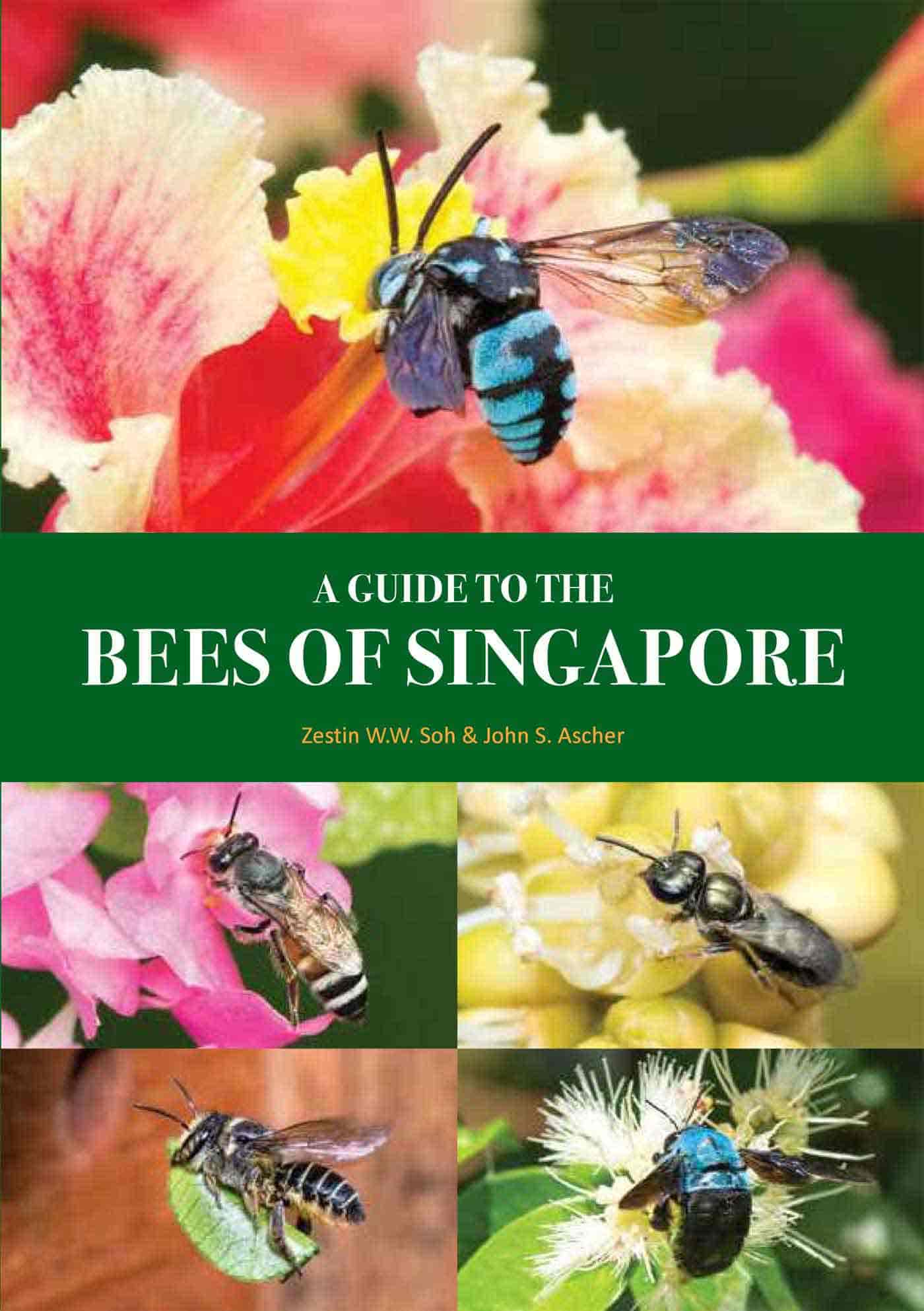 A Guide to the Bees of Singapore