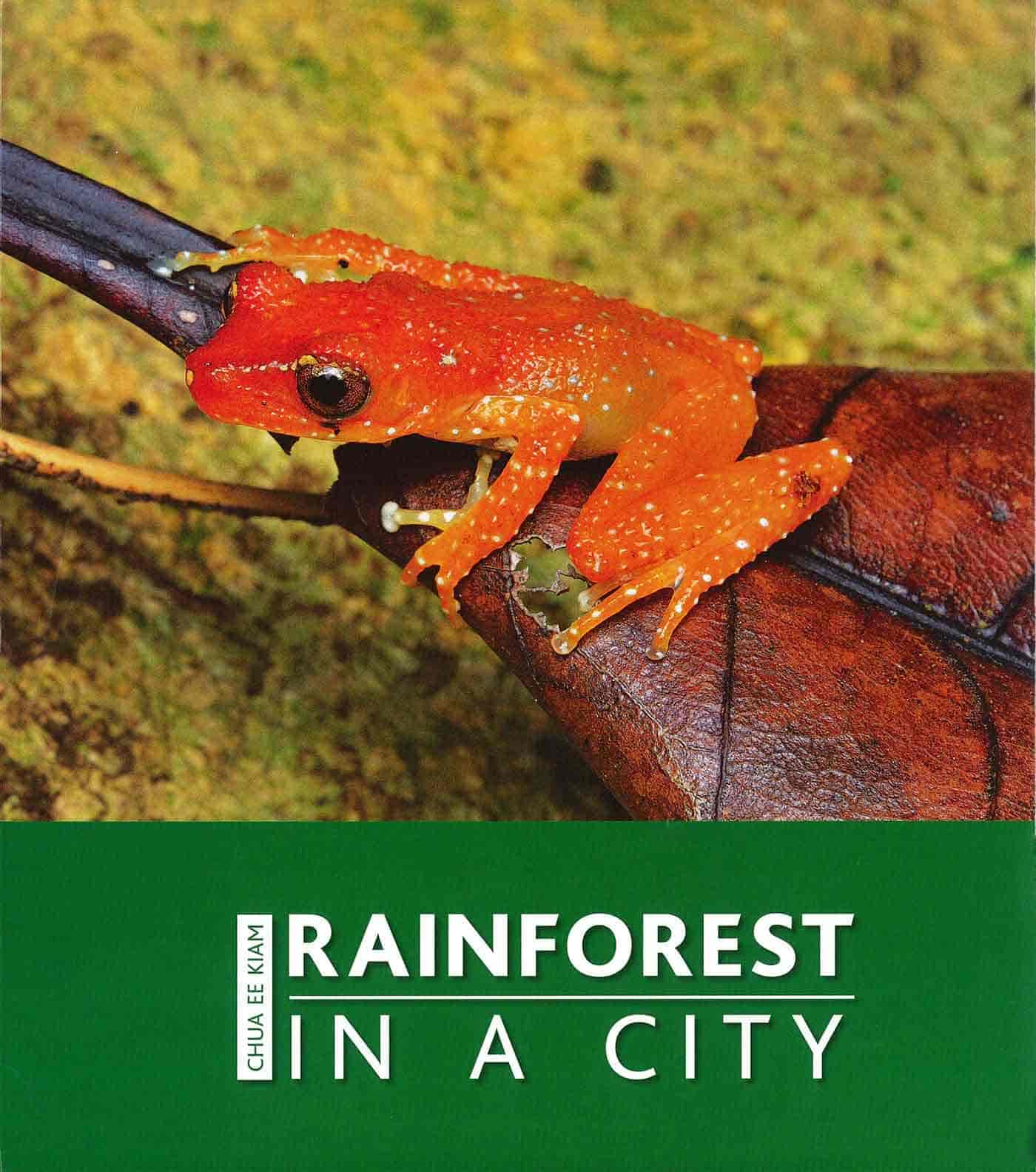 Rainforest in a City
