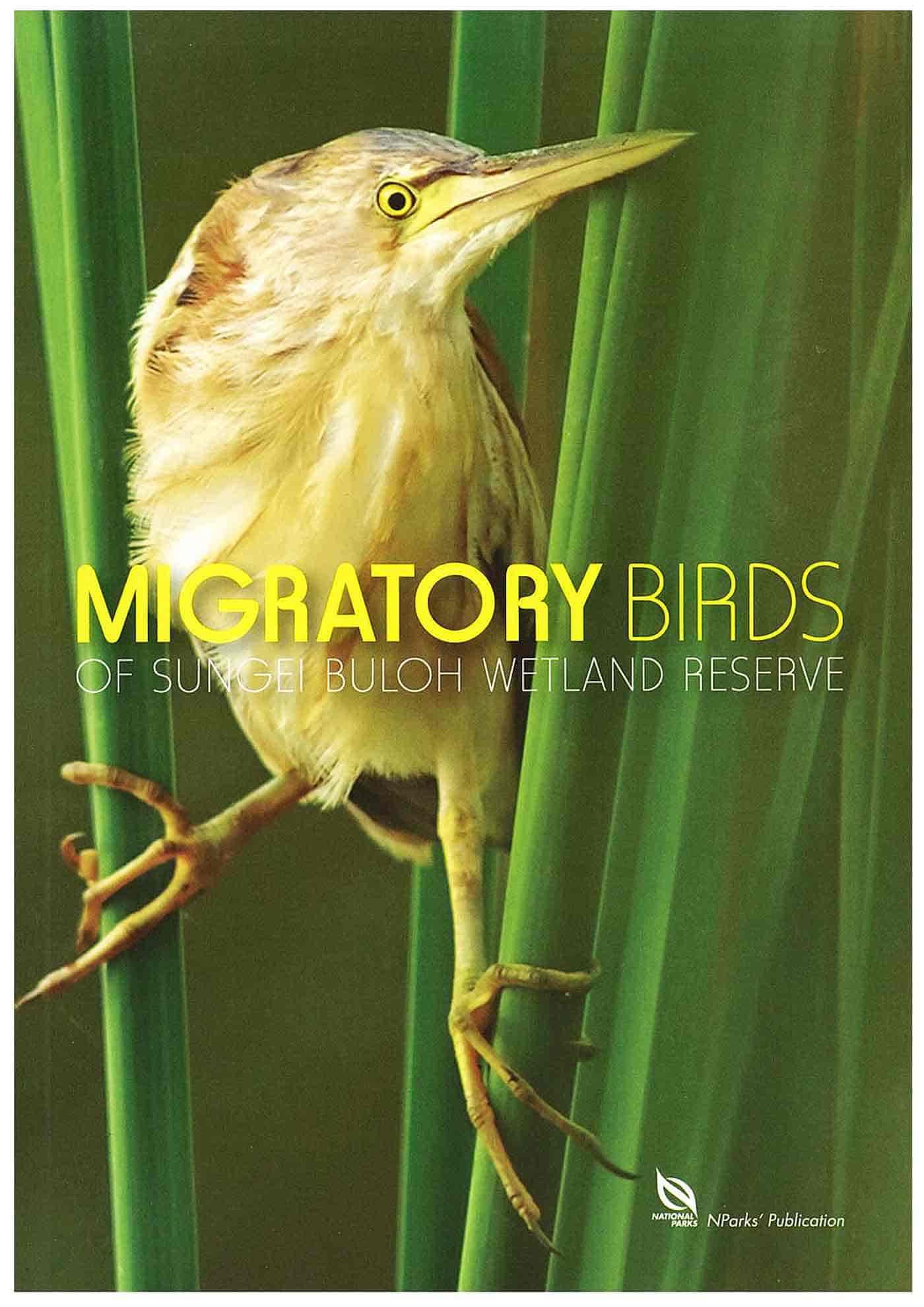 Migratory Birds of Sungei Buloh Wetland Reserve