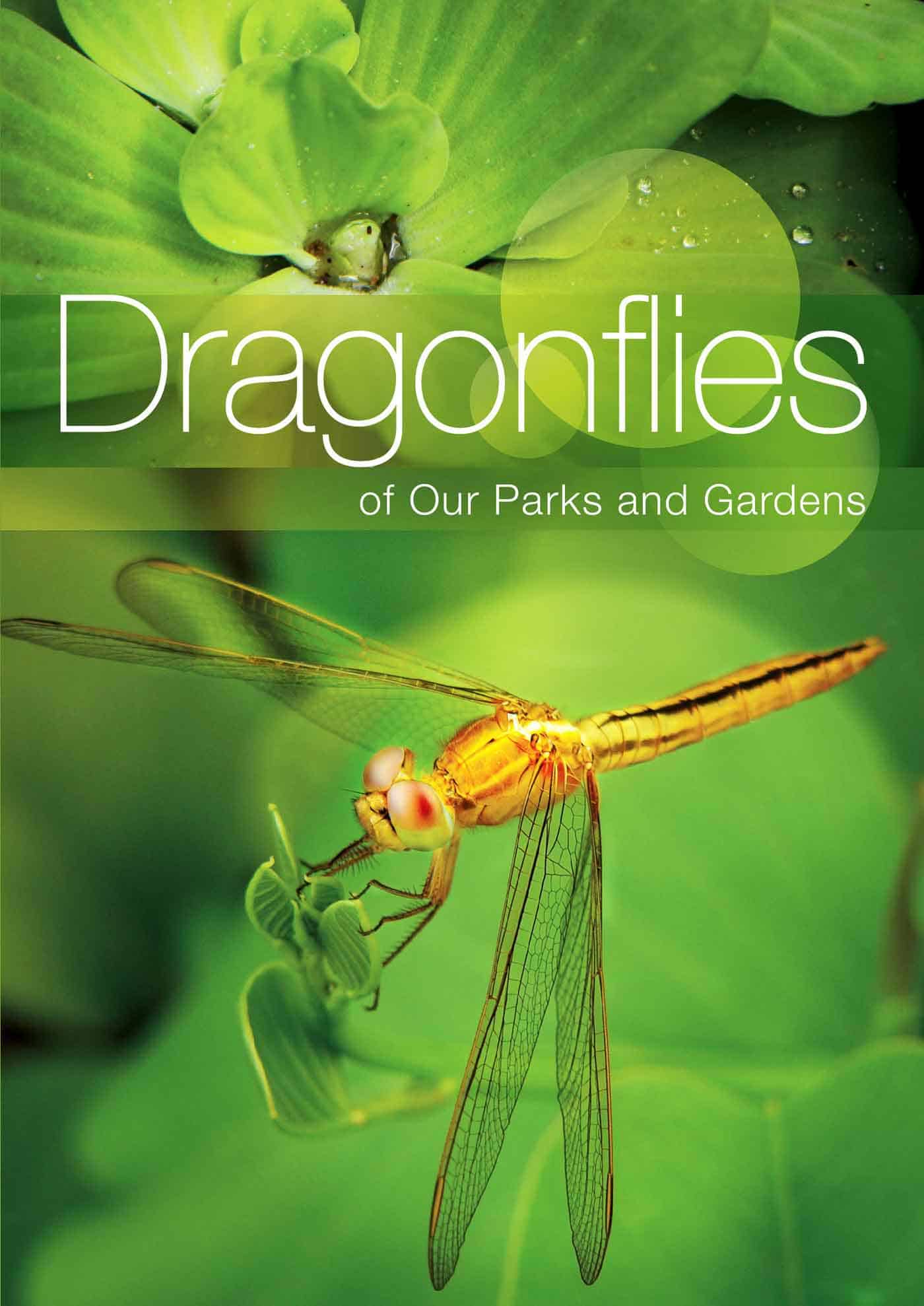 Dragonflies of Our Parks and Gardens