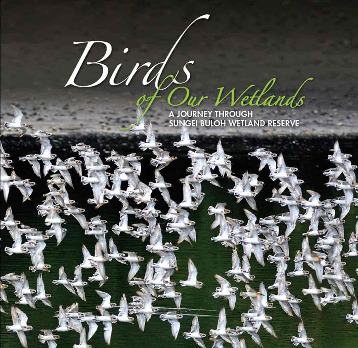 Birds of Our Wetlands – A Journey Through Sungei Buloh Wetland Reserve