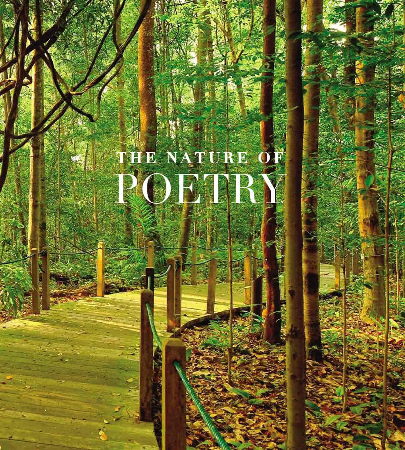 The Nature of Poetry