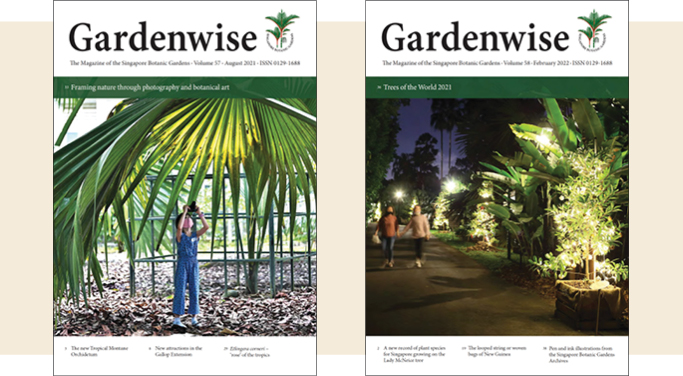 Gardenwise, Aug 2020 & Feb 2021