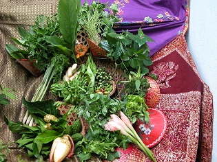 A variety of vegetables which may be used in the traditional Malay salad ulam. Photo credit: M. Sugumaran