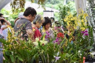 plantsales