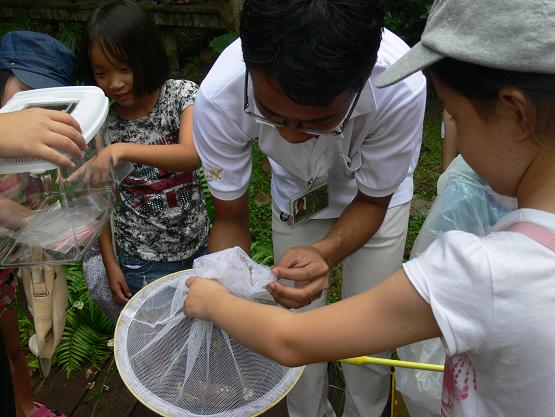 Learning about Dragonflies17