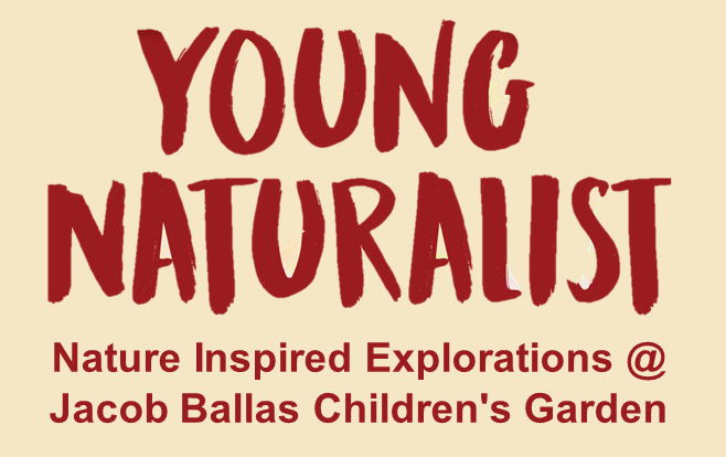 young naturalist