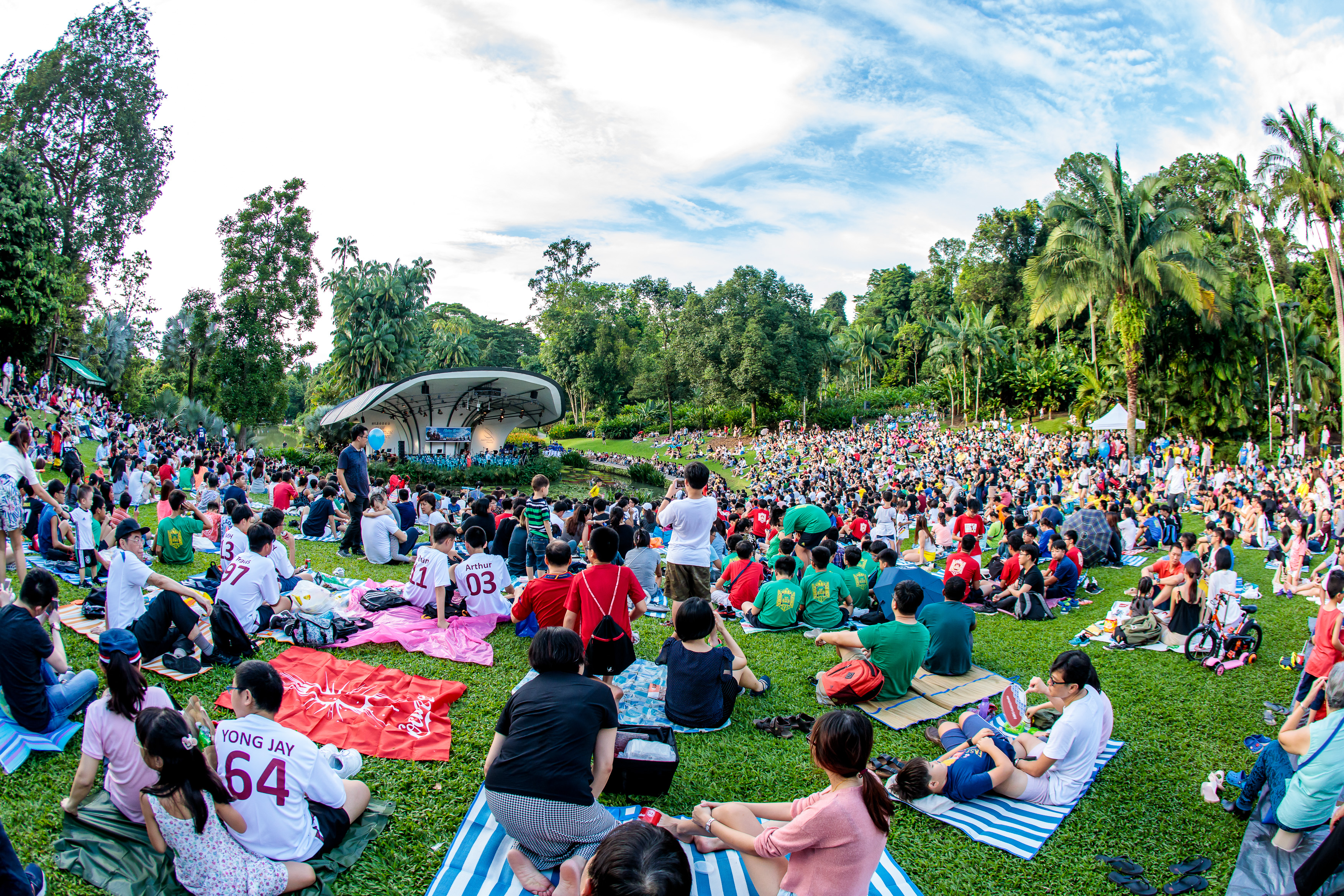 Concert Photo