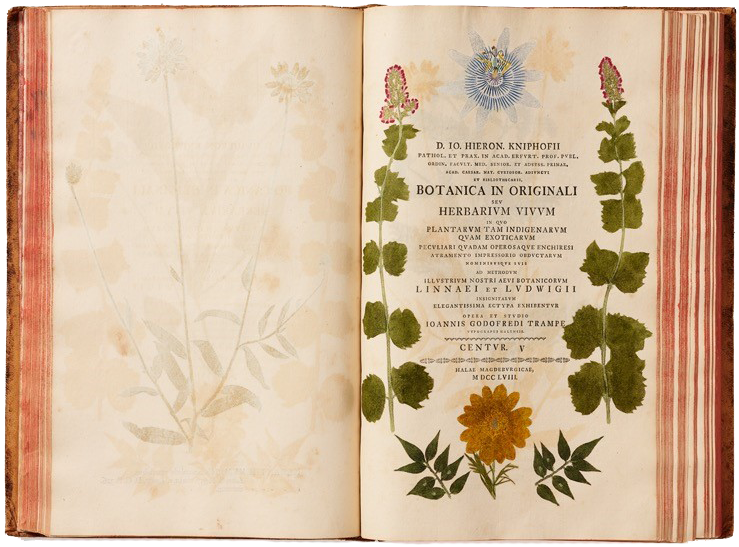 Botanica in Originali seu Herbarium Vivum 1