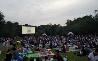 sbg movie screen ecolakelawn
