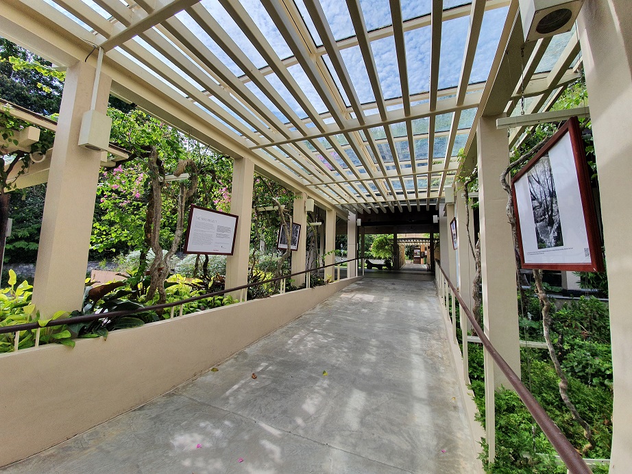 The Tree Project TANGLIN