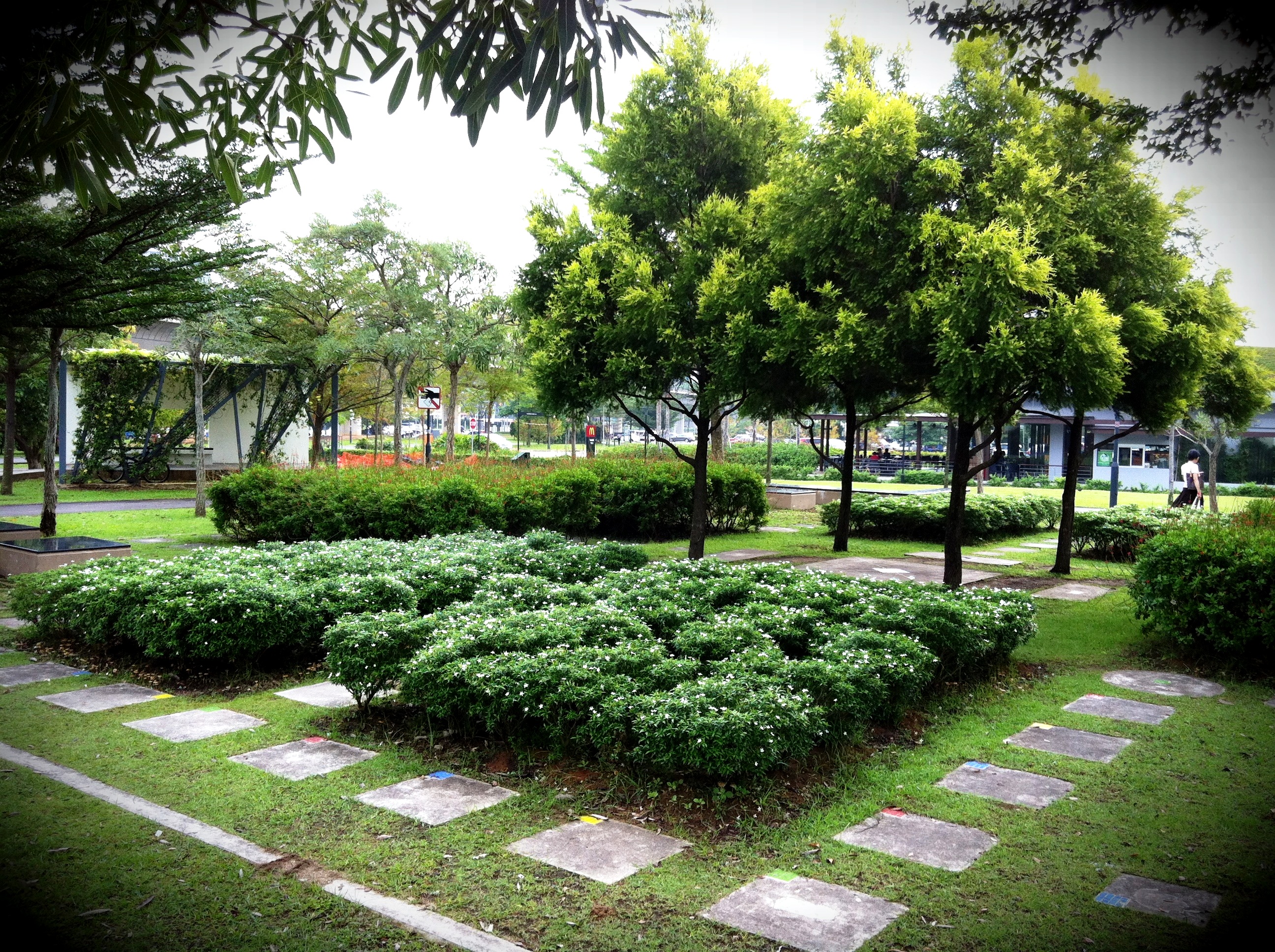What to See - Jurong Central Park - Parks & Nature Reserves - Gardens, Parks & Nature ...
